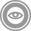 eyeicon
